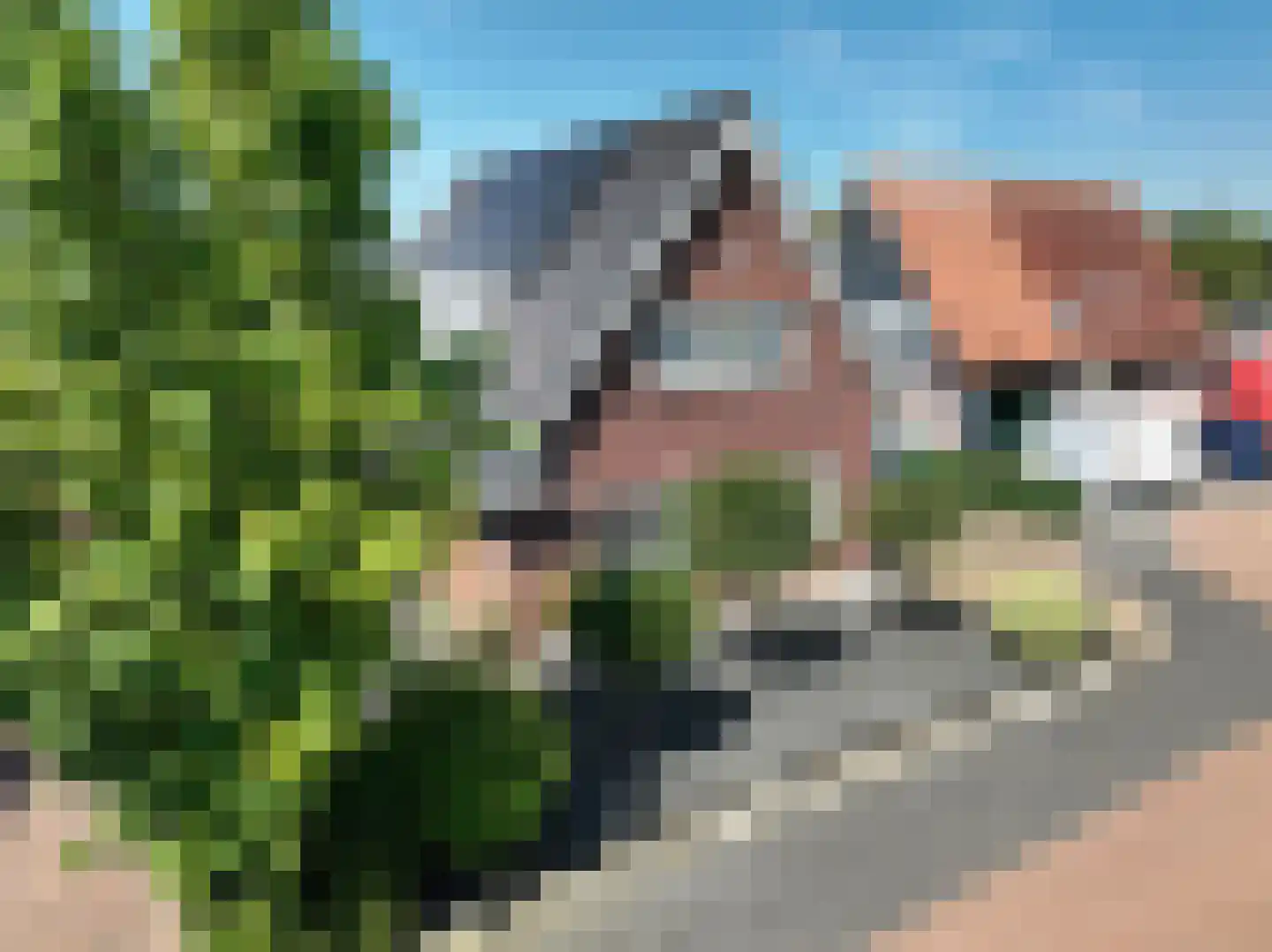 Poortwachter 6 Zeewolde thumbnail 86