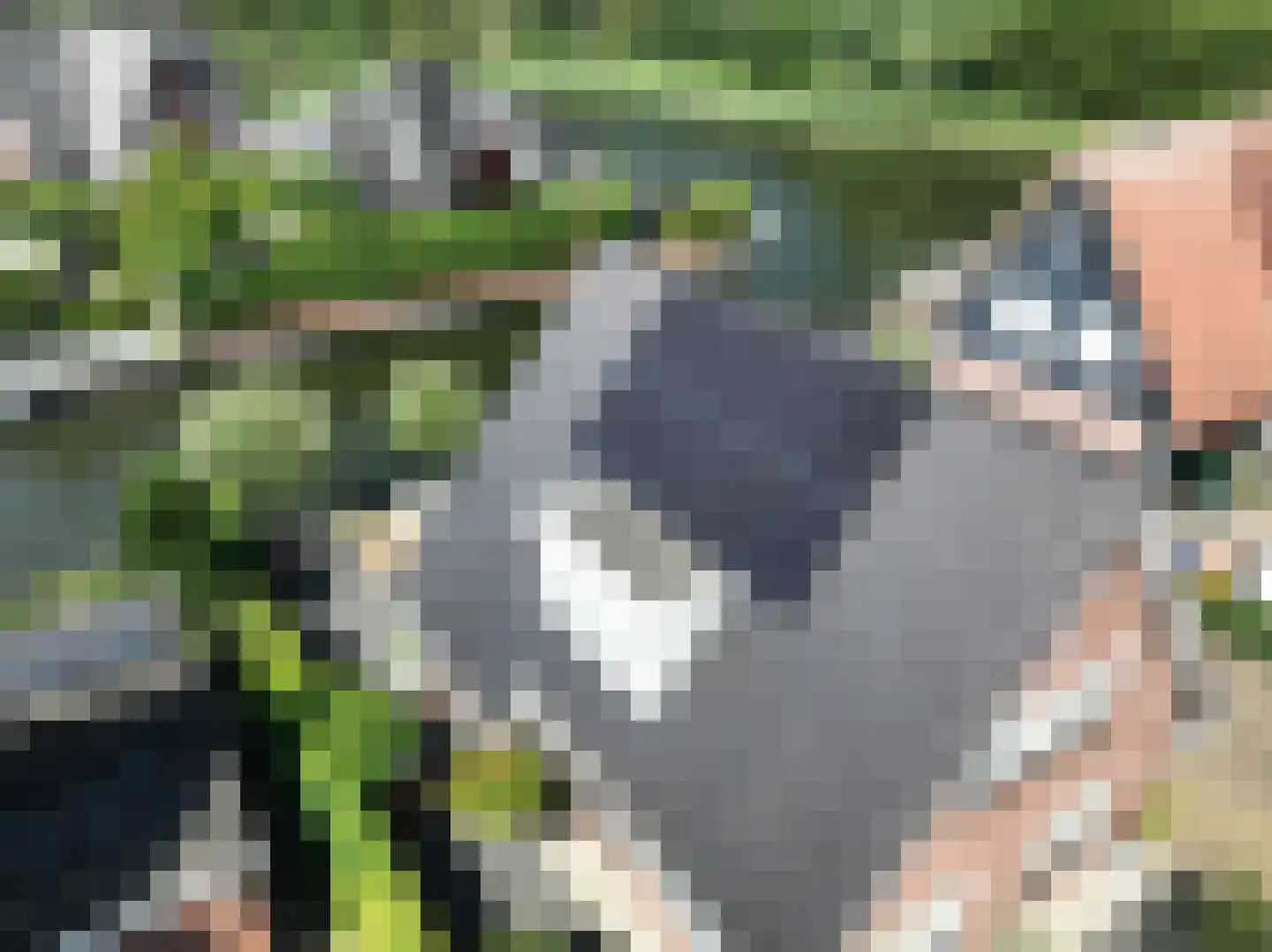 Poortwachter 6 Zeewolde thumbnail 88