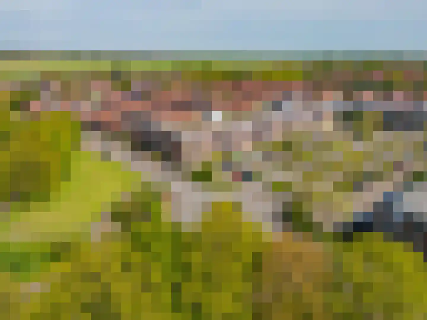 Poortwachter 75 Alphen aan den Rijn foto 3