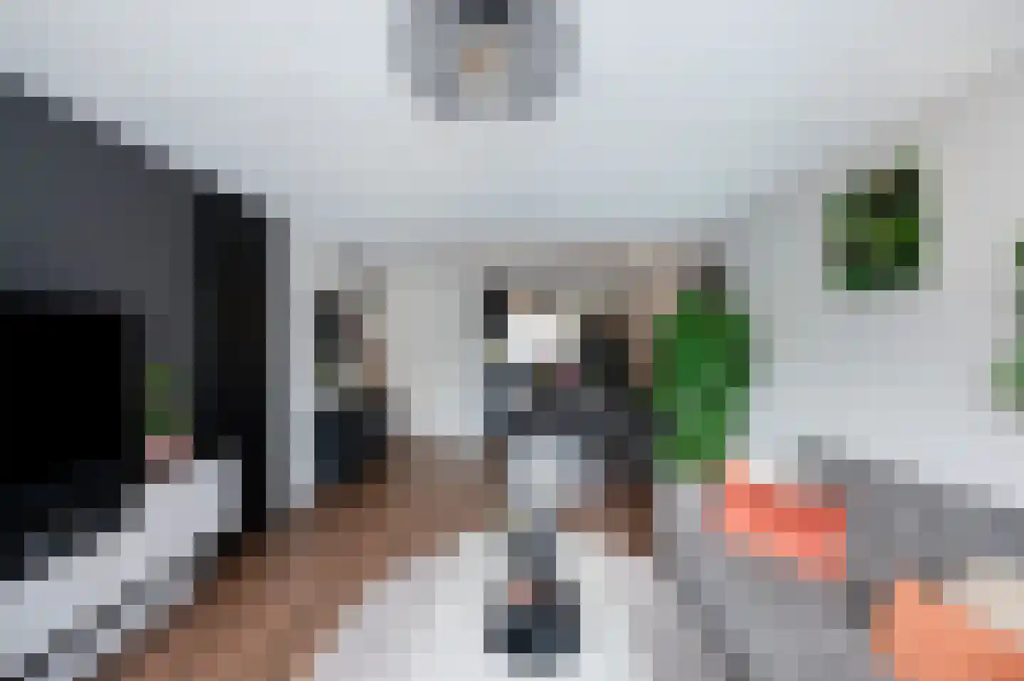 Poortwachter 86 Alphen aan den Rijn thumbnail 10