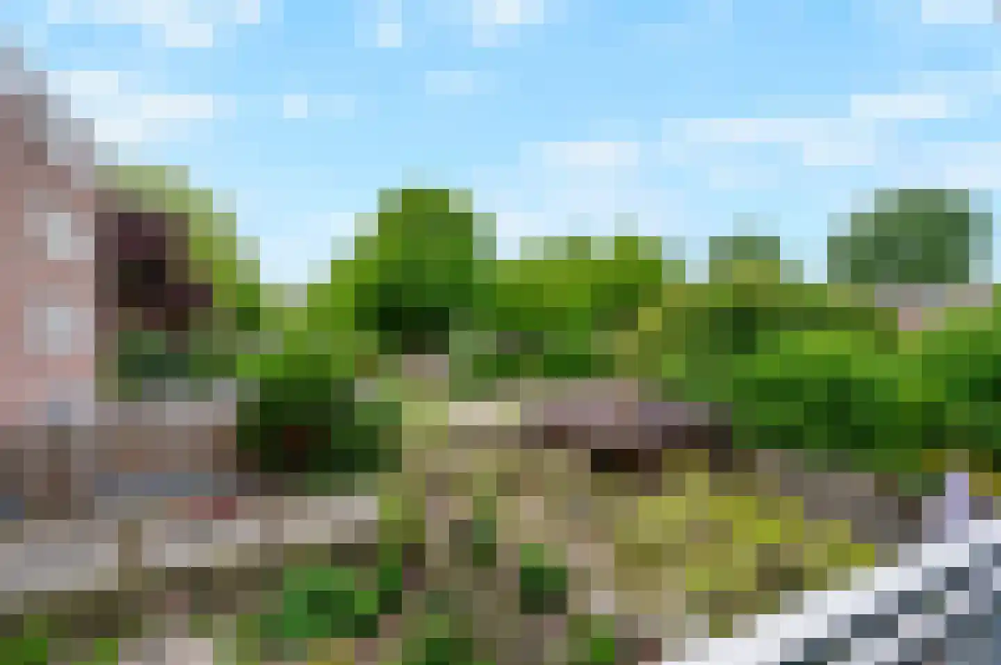 Poortwachter 86 Alphen aan den Rijn thumbnail 12