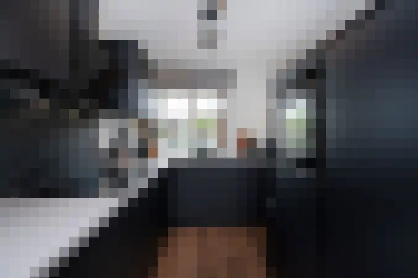 Poortwachter 86 Alphen aan den Rijn thumbnail 6