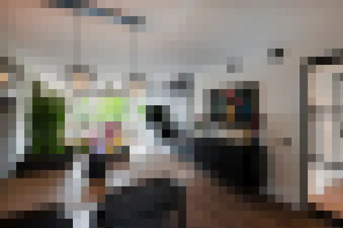 Poortwachter 86 Alphen aan den Rijn thumbnail 8