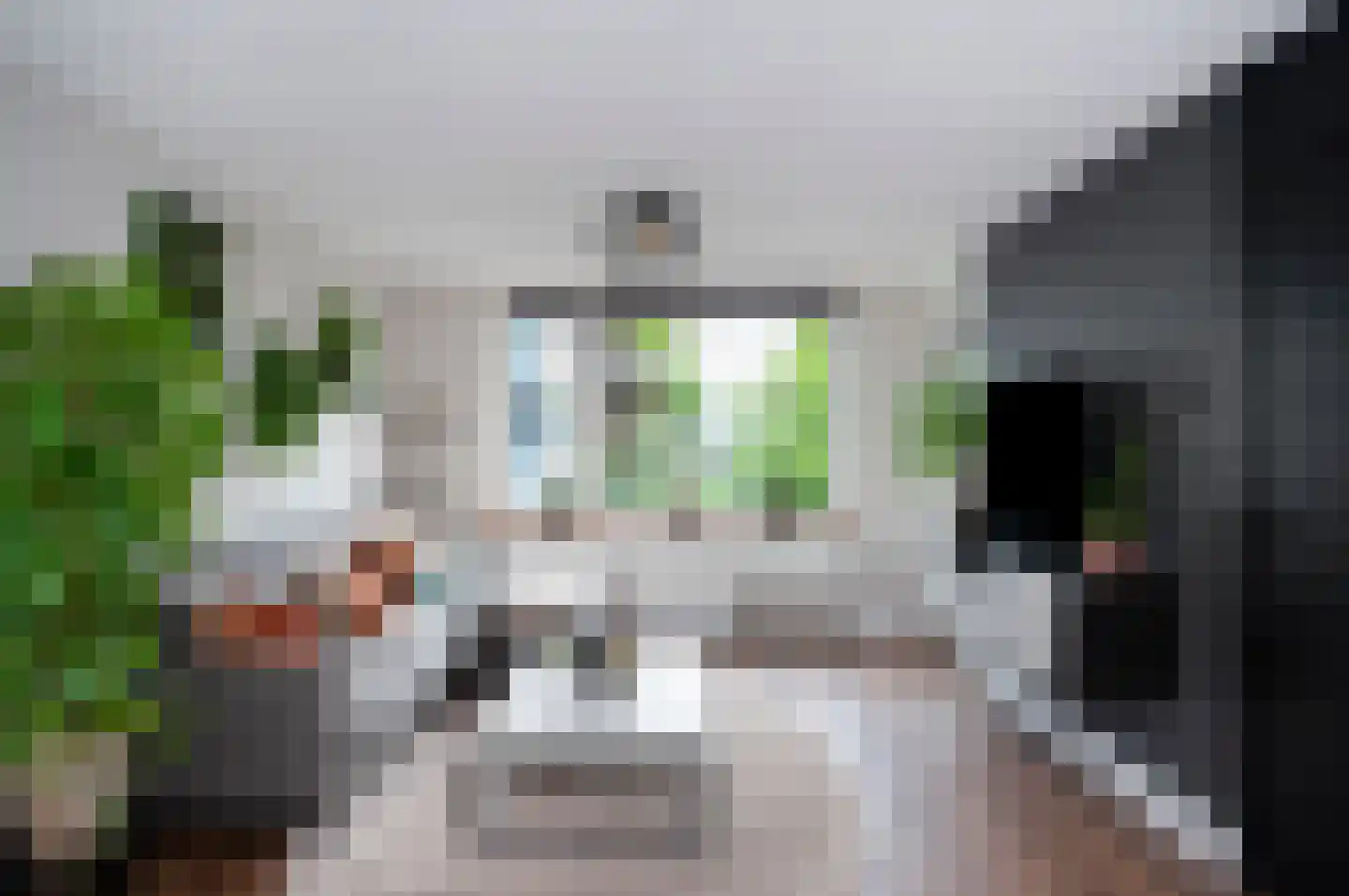 Poortwachter 86 Alphen aan den Rijn thumbnail 9