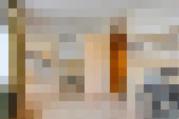 Poortwachter 87 Amstelveen thumbnail 13