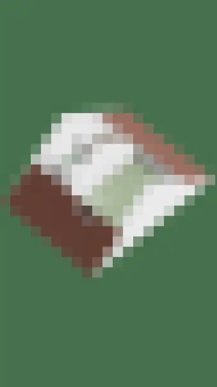 Poortwachter 87 Amstelveen thumbnail 31