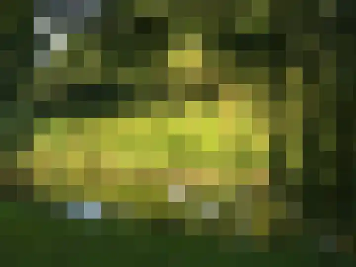 Poortwachter 87 Amstelveen thumbnail 37