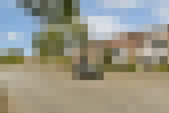 Poortwachter 93 Amstelveen thumbnail 23