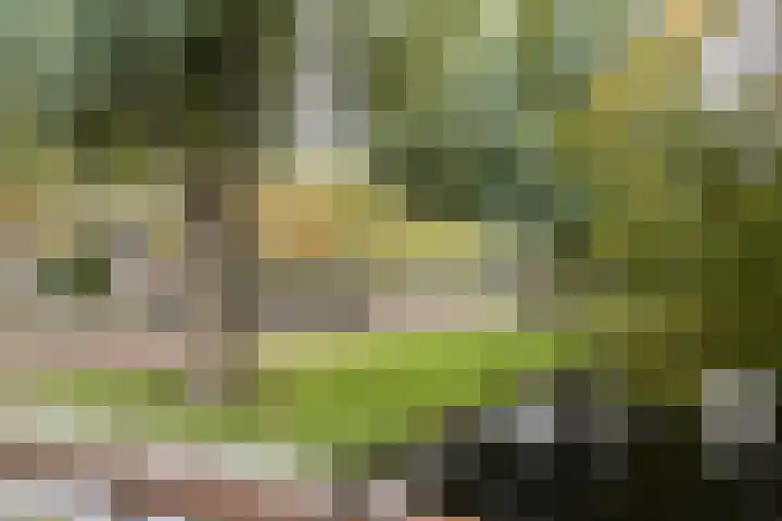 Poortwachter 93 Amstelveen thumbnail 24