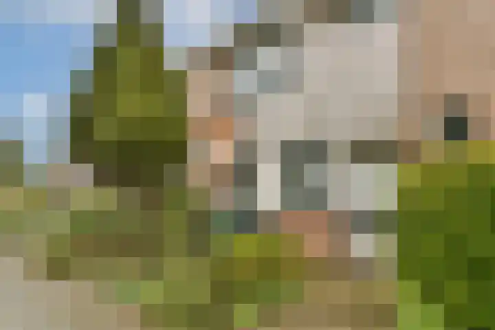 Poortwachter 93 Amstelveen thumbnail 6