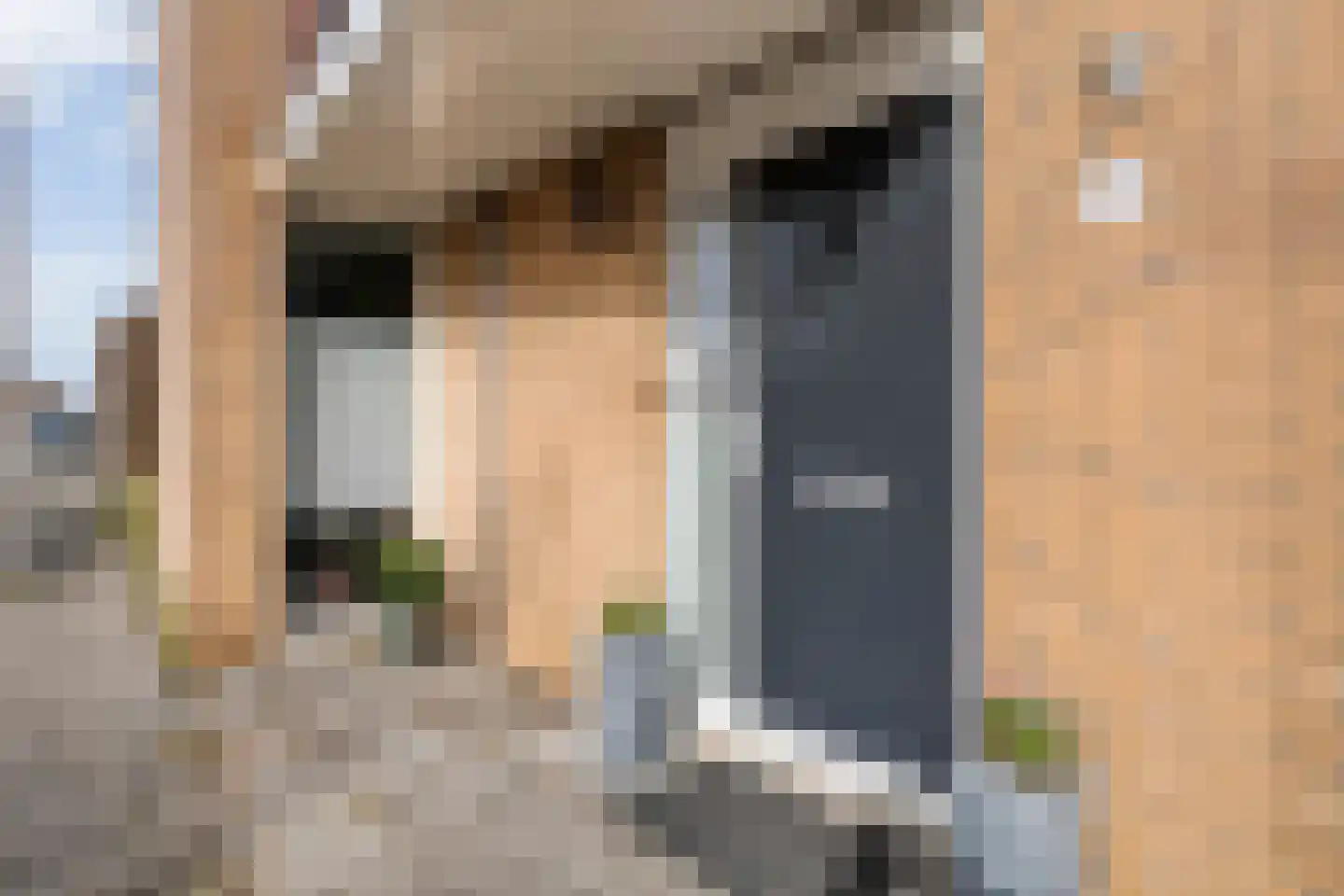 Poortwachterstraat 11 Zwolle thumbnail 10