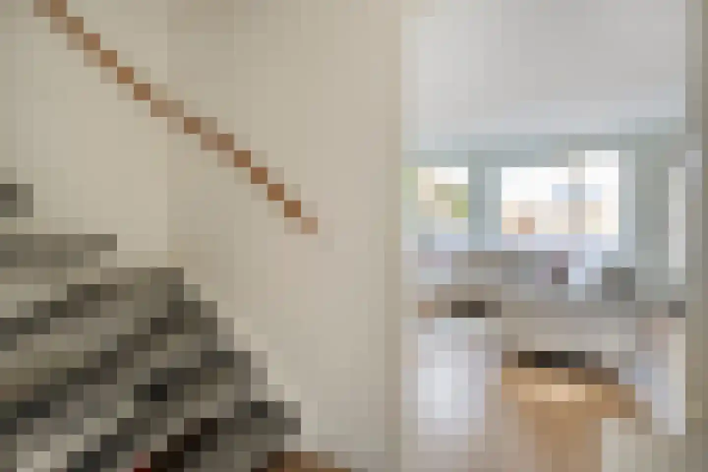 Poortwachterstraat 11 Zwolle thumbnail 12