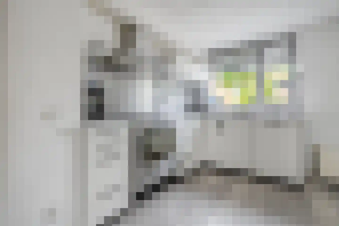Poortwachterstraat 15 Zwolle thumbnail 18