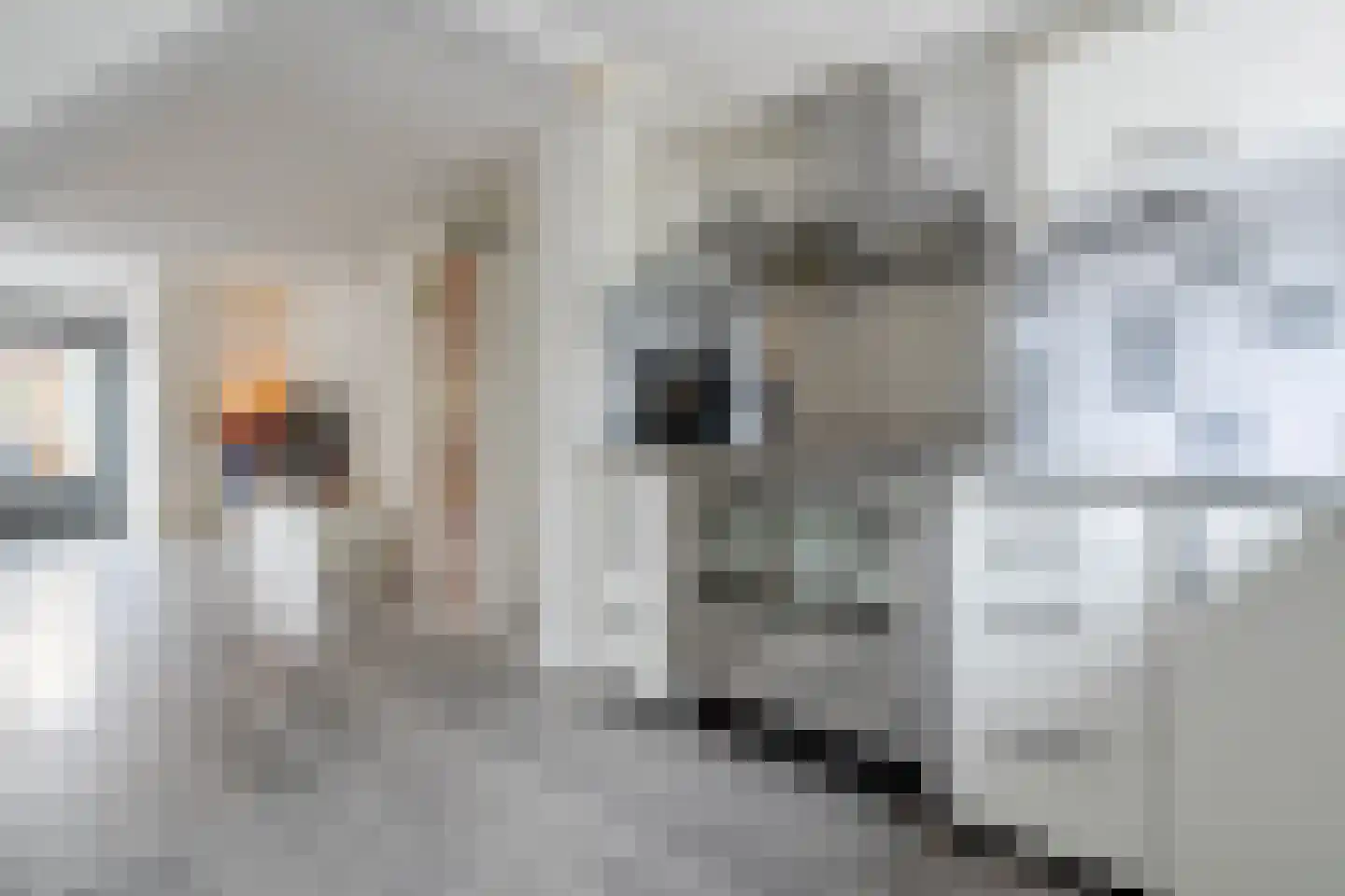 Poortwachterstraat 15 Zwolle thumbnail 20