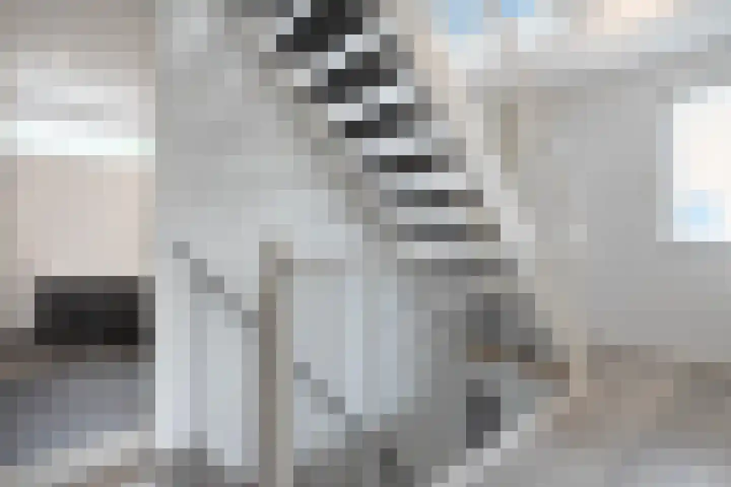 Poortwachterstraat 15 Zwolle thumbnail 21