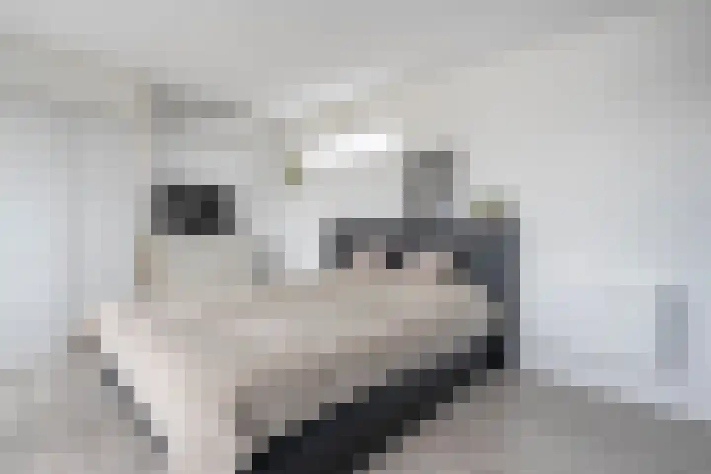 Poortwachterstraat 15 Zwolle thumbnail 33