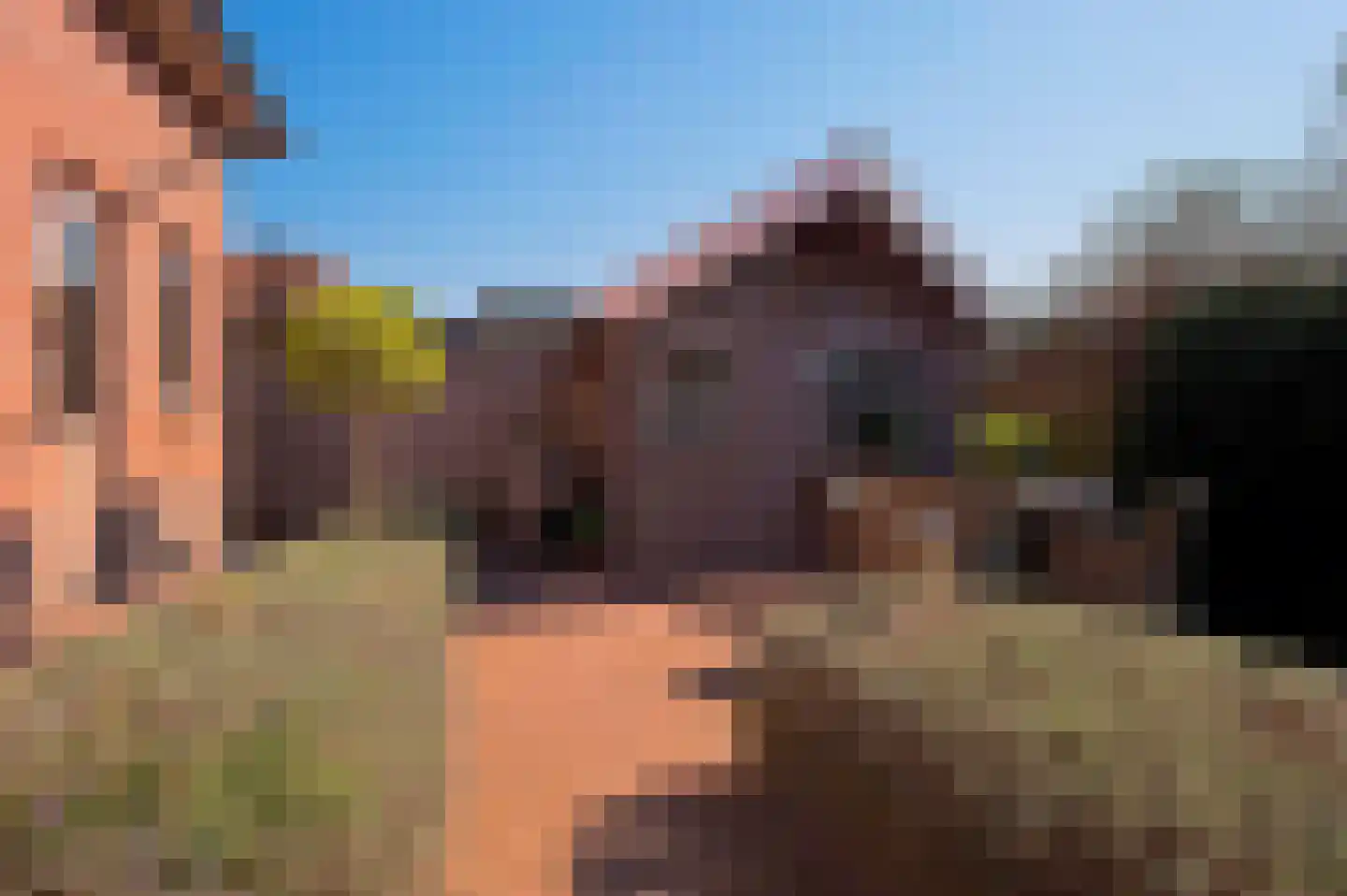 Poortwegje 8 Zuilichem thumbnail 11