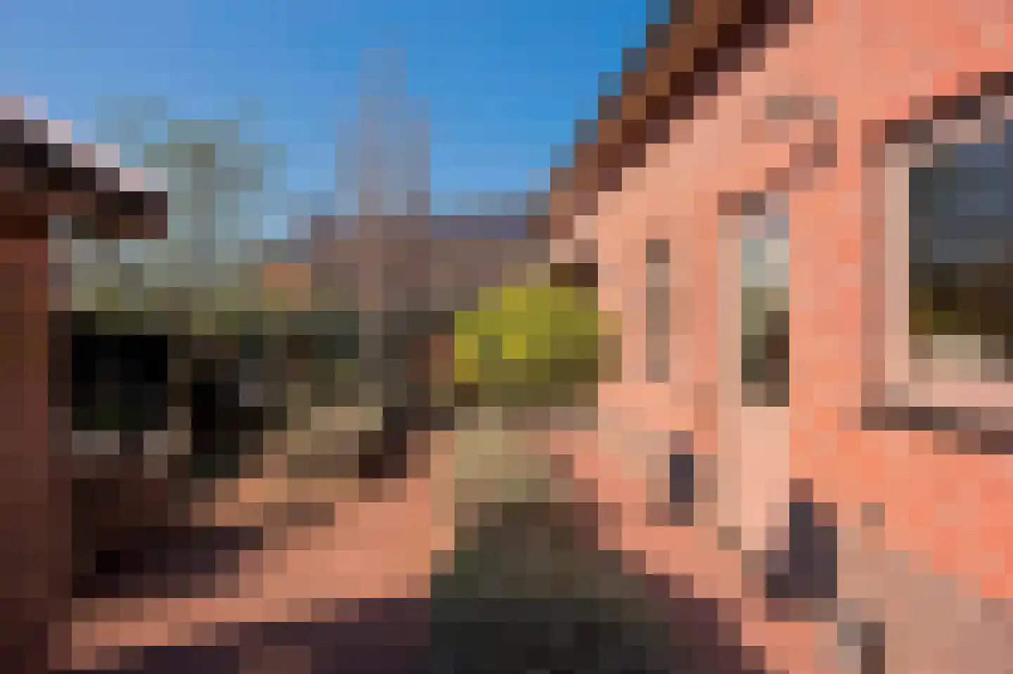 Poortwegje 8 Zuilichem thumbnail 13