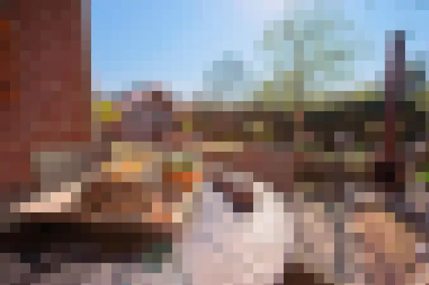 Poortwegje 8 Zuilichem thumbnail 18