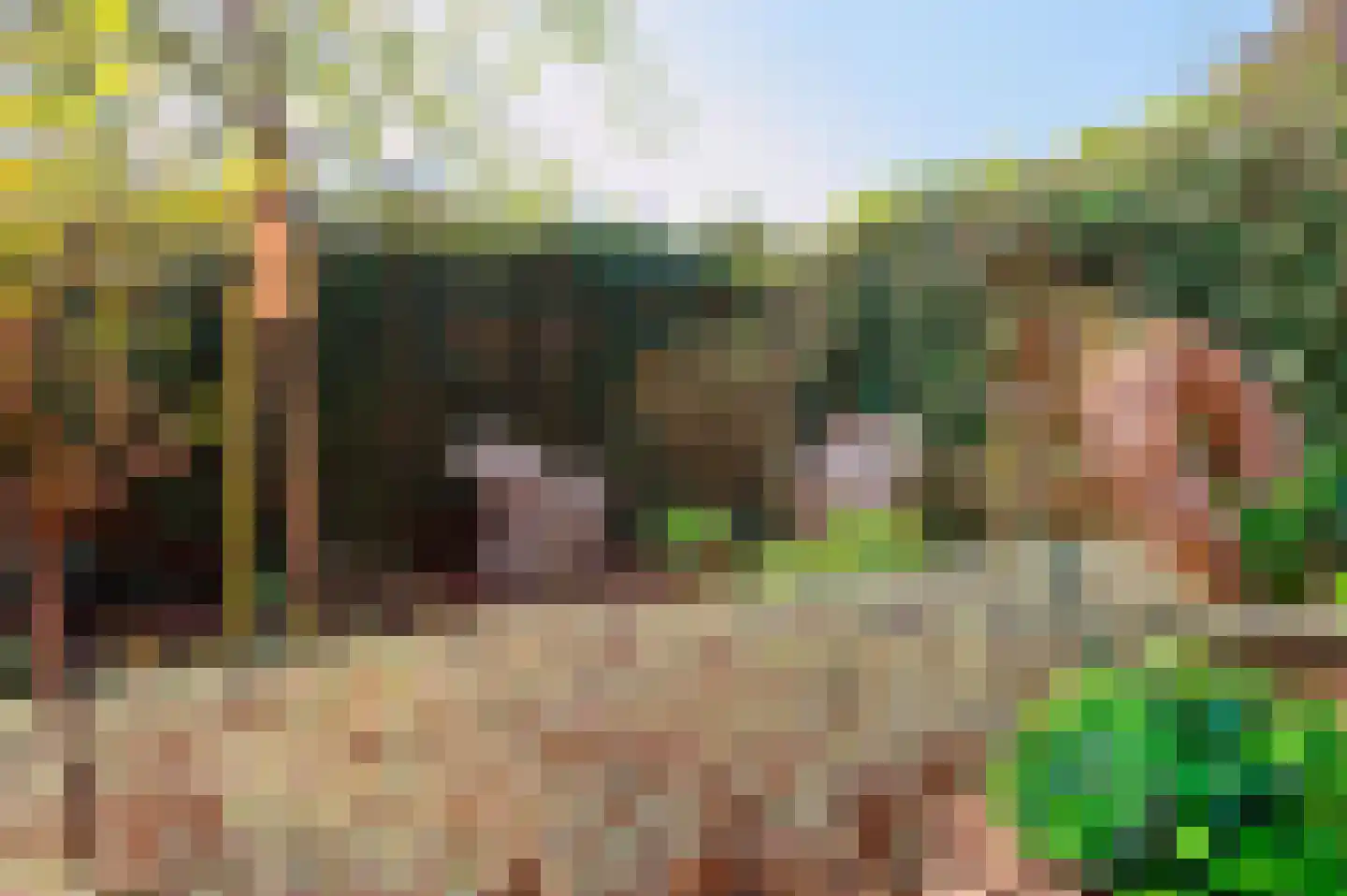 Poortwegje 8 Zuilichem thumbnail 19