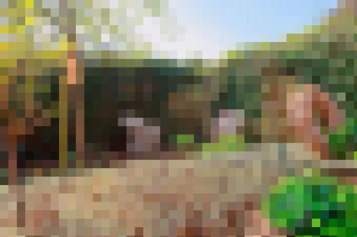 Poortwegje 8 Zuilichem thumbnail 20