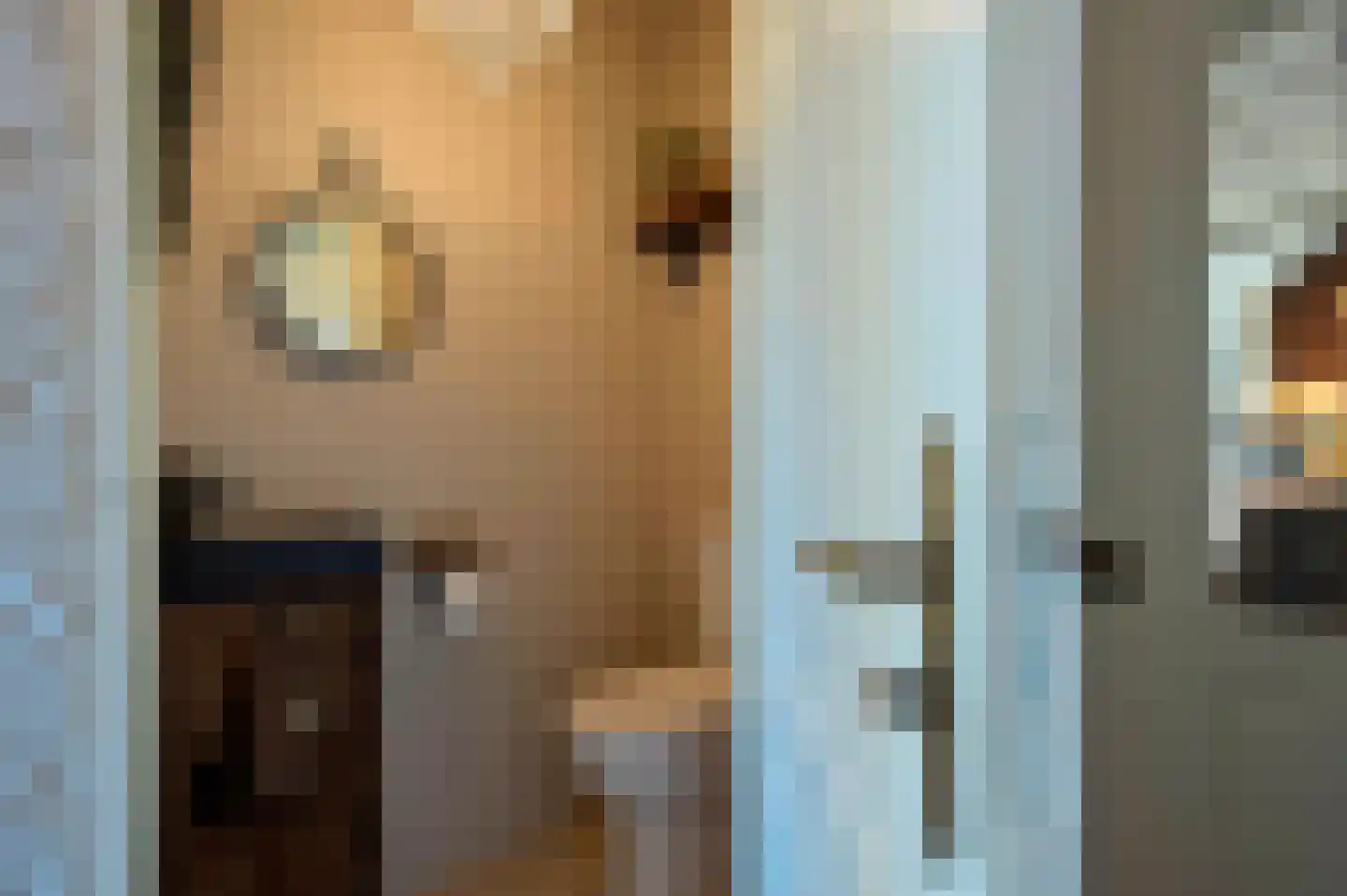 Poortwegje 8 Zuilichem thumbnail 22