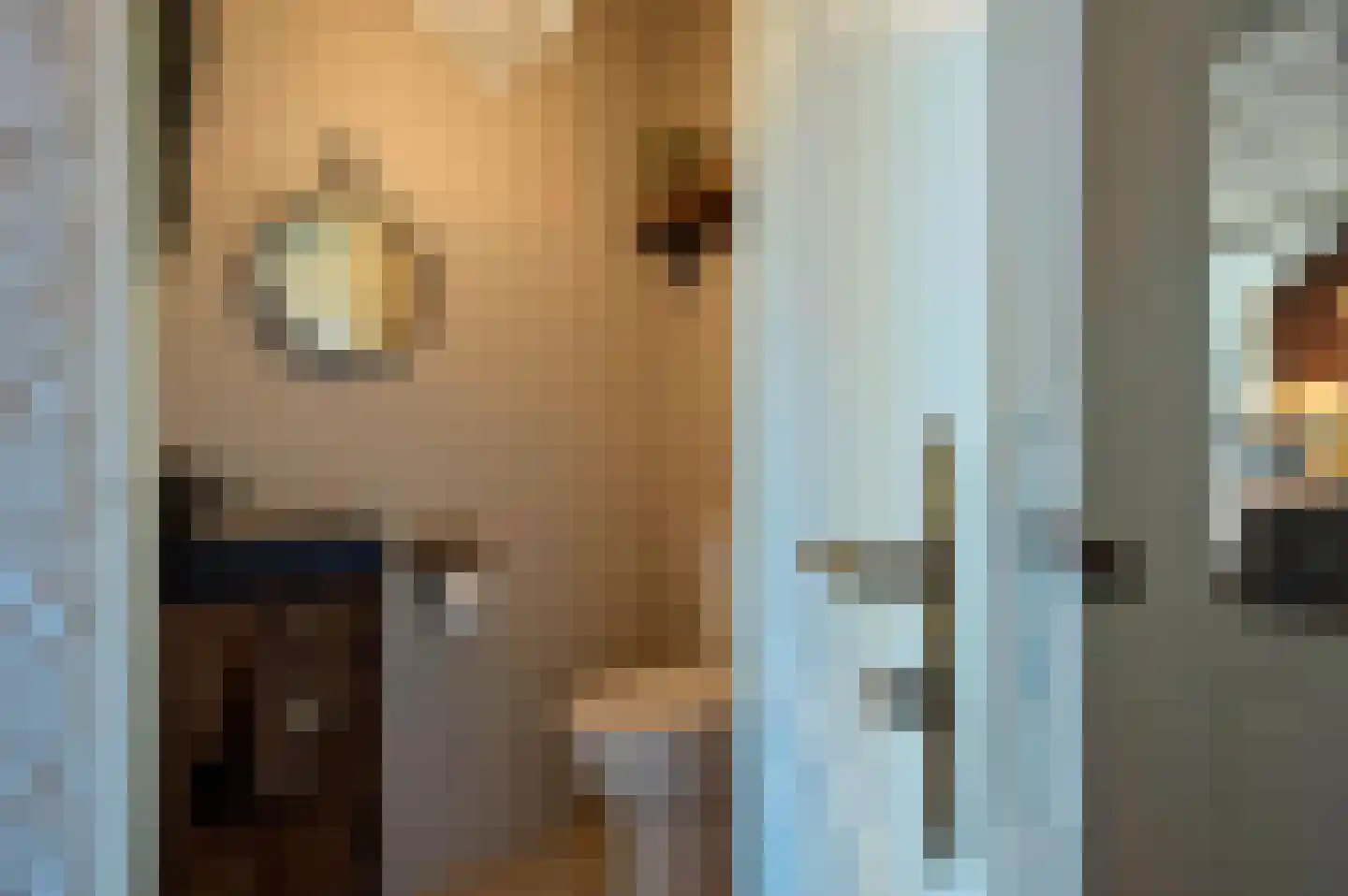 Poortwegje 8 Zuilichem thumbnail 23