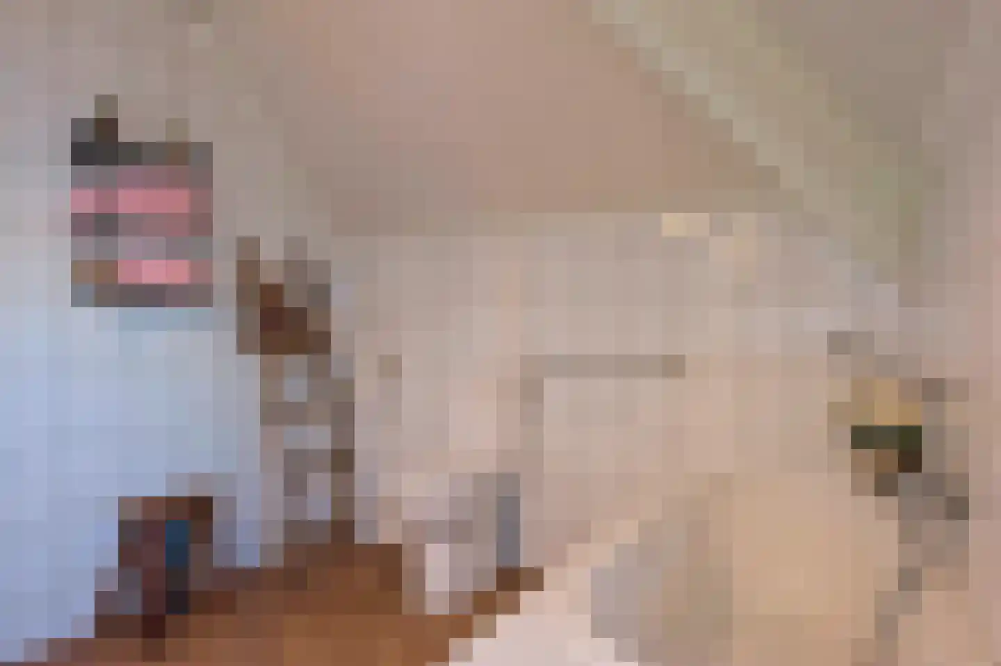 Poortwegje 8 Zuilichem thumbnail 46