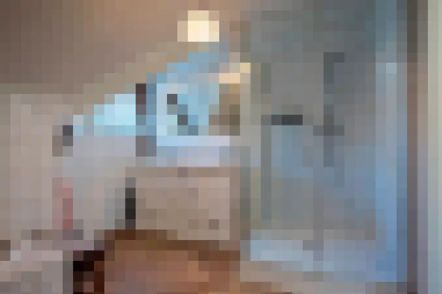 Poortwegje 8 Zuilichem thumbnail 5