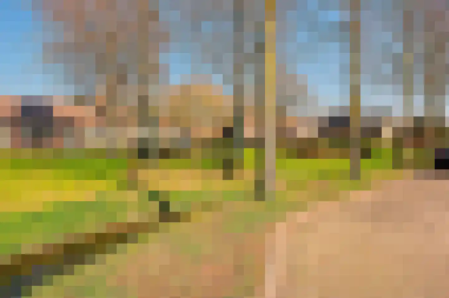 Poortwegje 8 Zuilichem thumbnail 8