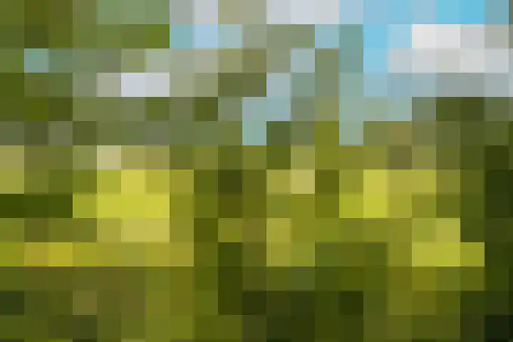 Poortweide 20 Wateringen thumbnail 22