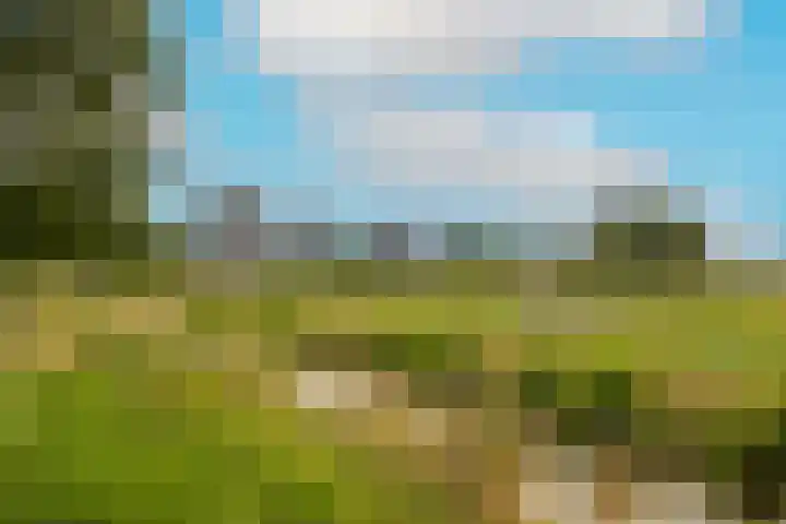 Poortweide 20 Wateringen thumbnail 23