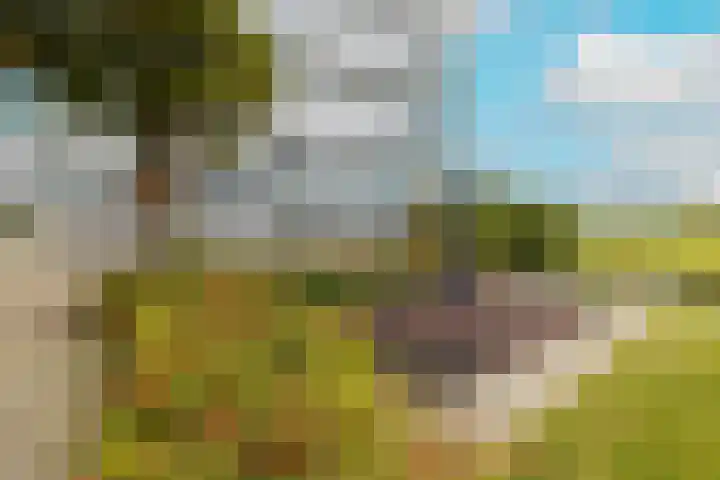 Poortweide 20 Wateringen thumbnail 27