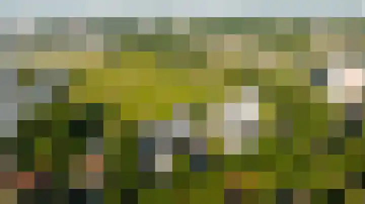 Poortweide 20 Wateringen thumbnail 32