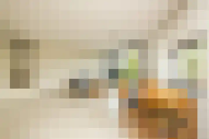 Poortweide 20 Wateringen thumbnail 8