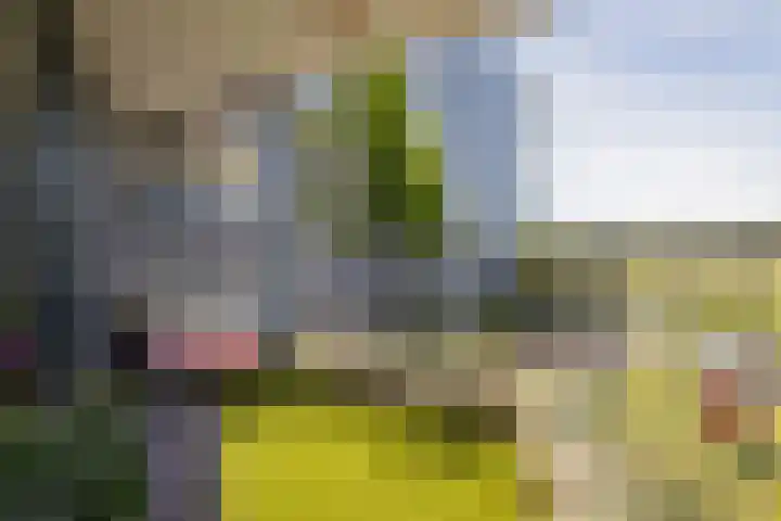 Poortweide 42 Wateringen thumbnail 20