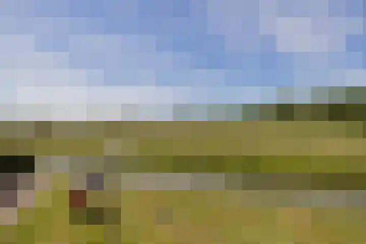 Poortweide 42 Wateringen thumbnail 22