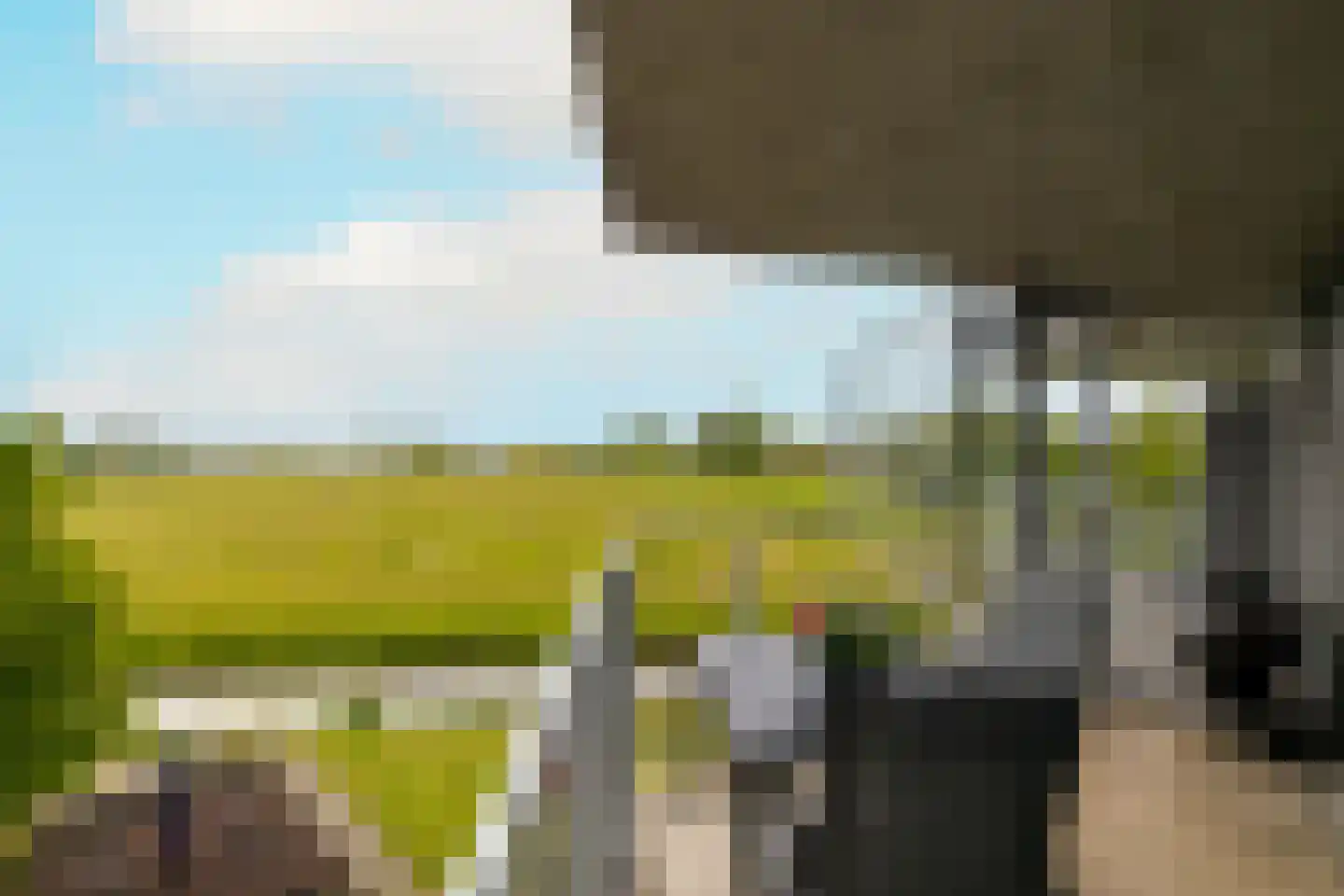 Poortweide 43 Wateringen thumbnail 17