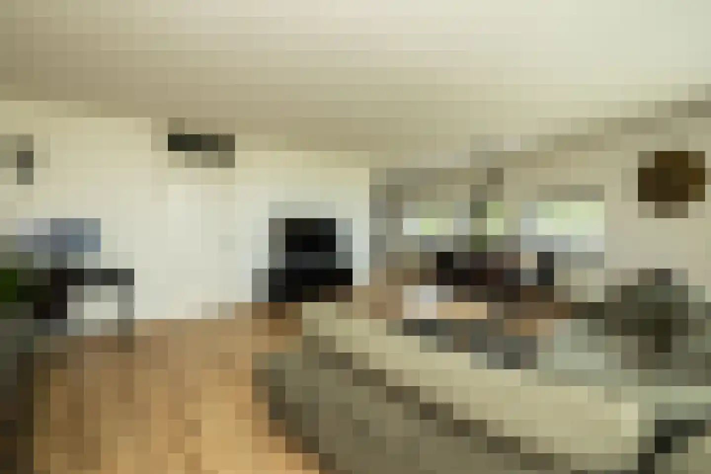 Poortweide 43 Wateringen thumbnail 5