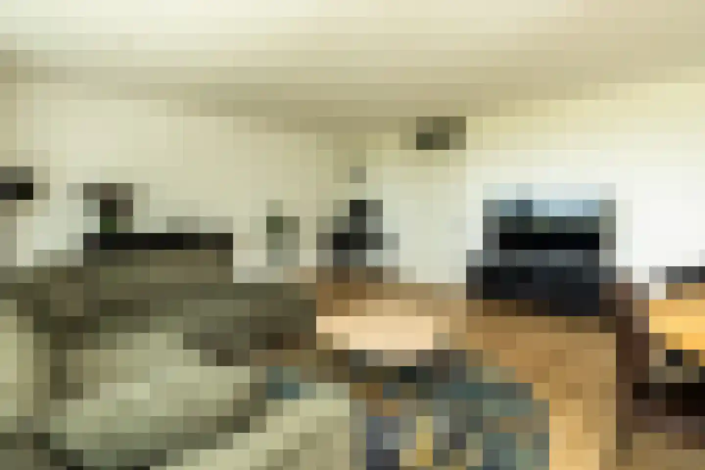 Poortweide 43 Wateringen thumbnail 6