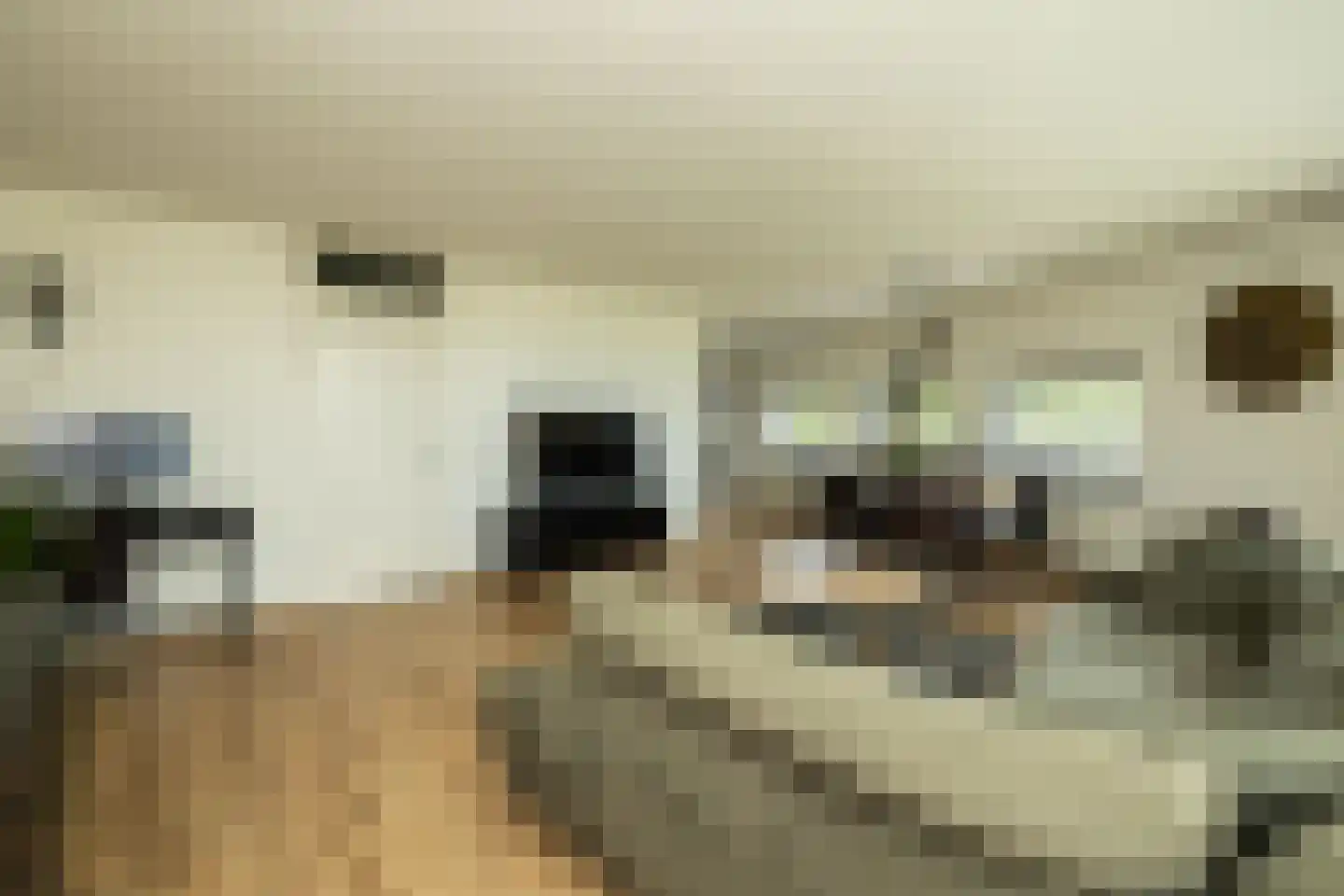 Poortweide 43 Wateringen thumbnail 9