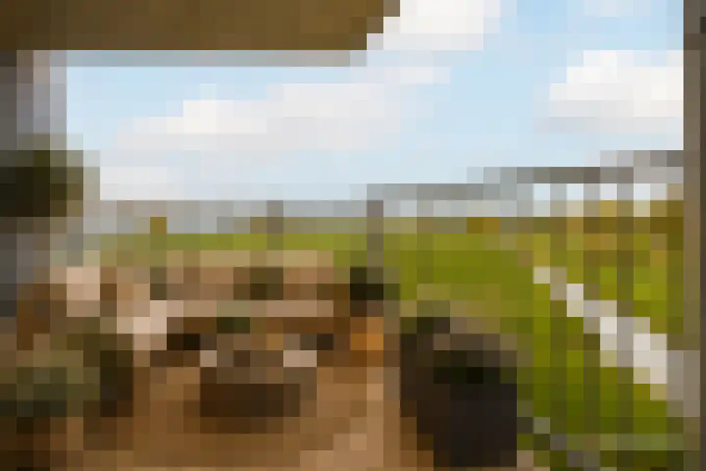 Poortweide 56 Wateringen thumbnail 16