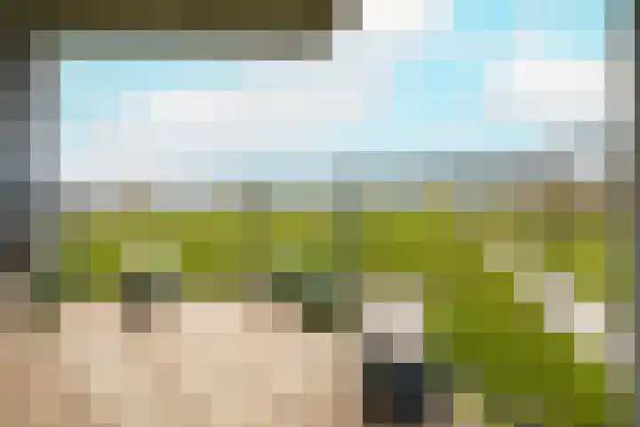 Poortweide 56 Wateringen thumbnail 4