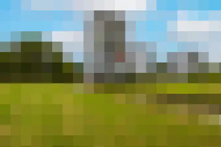 Poortweide 62 Wateringen thumbnail 36