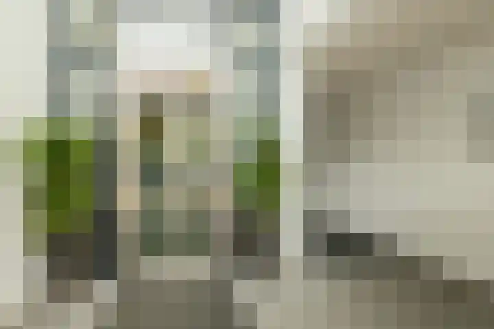 Poortweide 62 Wateringen thumbnail 6