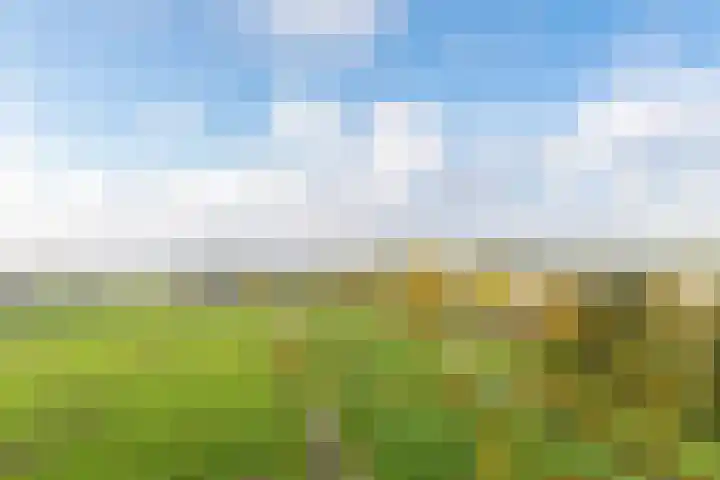 Poortweide 65 Wateringen thumbnail 13