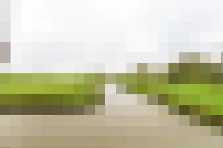 Poortweide 65 Wateringen thumbnail 36