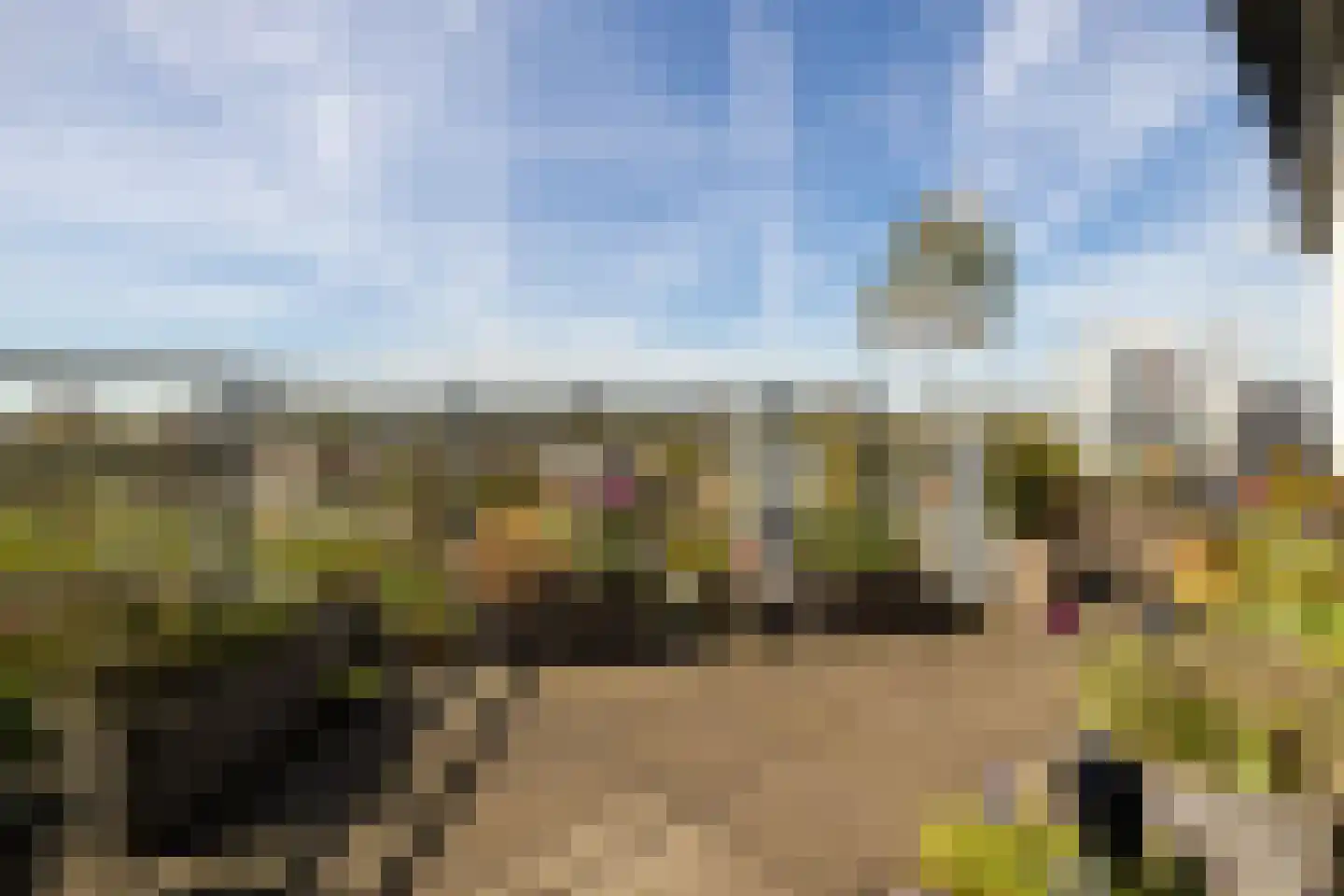 Poortweide 66 Wateringen thumbnail 17