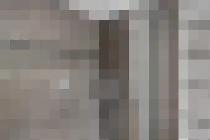 Pootlaan 10 Roosendaal thumbnail 27
