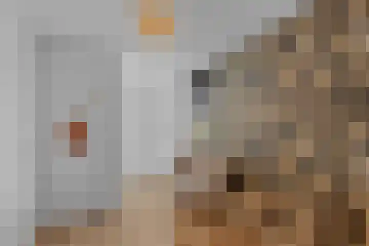 Pootlaan 10 Roosendaal thumbnail 33